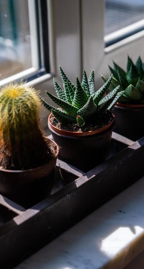 Casa Sofia Apt ナポリ エクステリア 写真